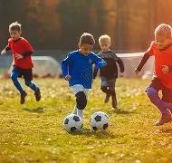 湖人队交易,蓝图曝光,文森特,新葡京,新葡京app,新葡京娱乐,新普京赌场